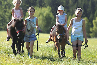 Urlaub auf dem Reiterhof in Bayern